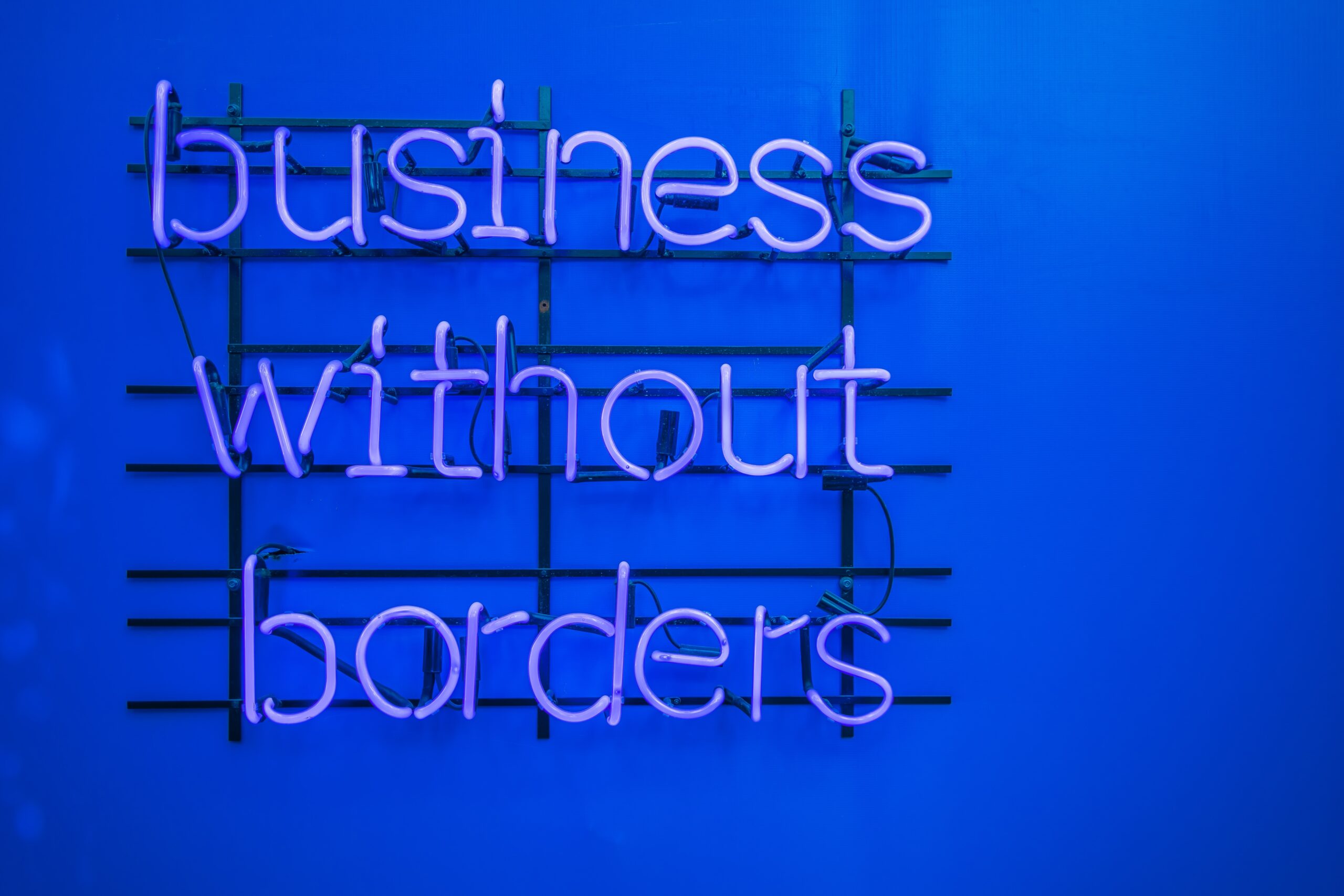 Online business e-residency